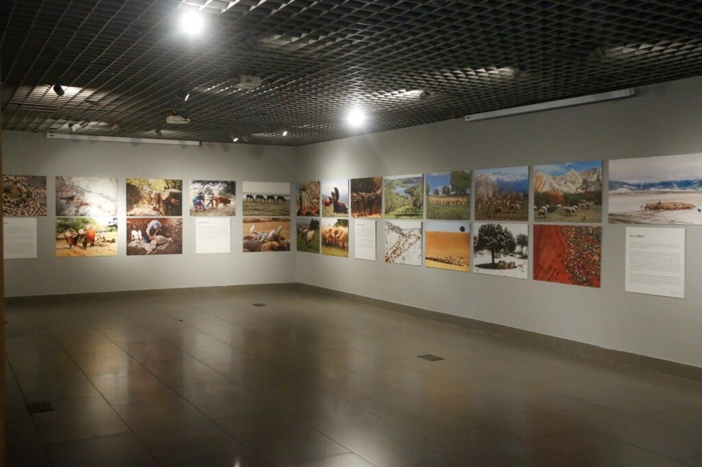 Exposición ‘Cuidando la piel de la Tierra’, en Córdoba