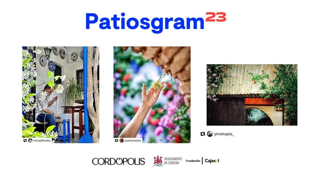Más de 1.600 fotos y tres ganadores: fallado el concurso de Patiosgram 2023