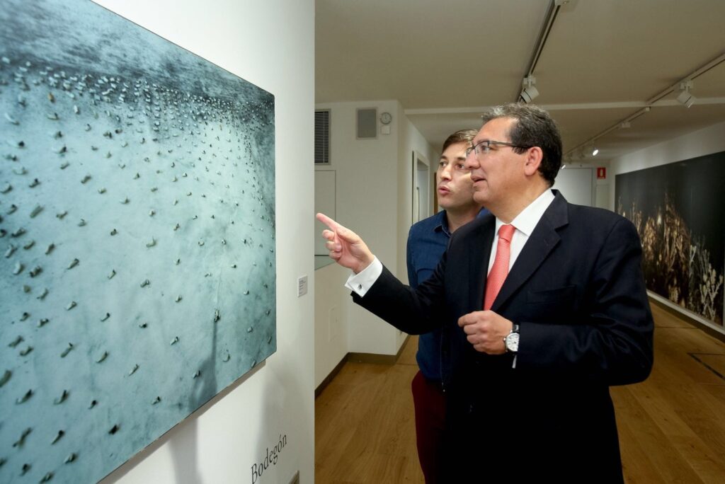 ‘El impacto de lo viejo’ llega a través de las grandes obras de arte de la Fundación Cajasol