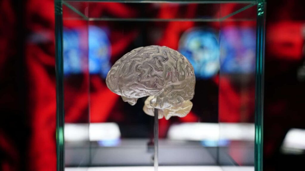 Más de 30.000 personas visitan la exposición ‘Ilusionismo, ¿magia o ciencia?’ en Cádiz