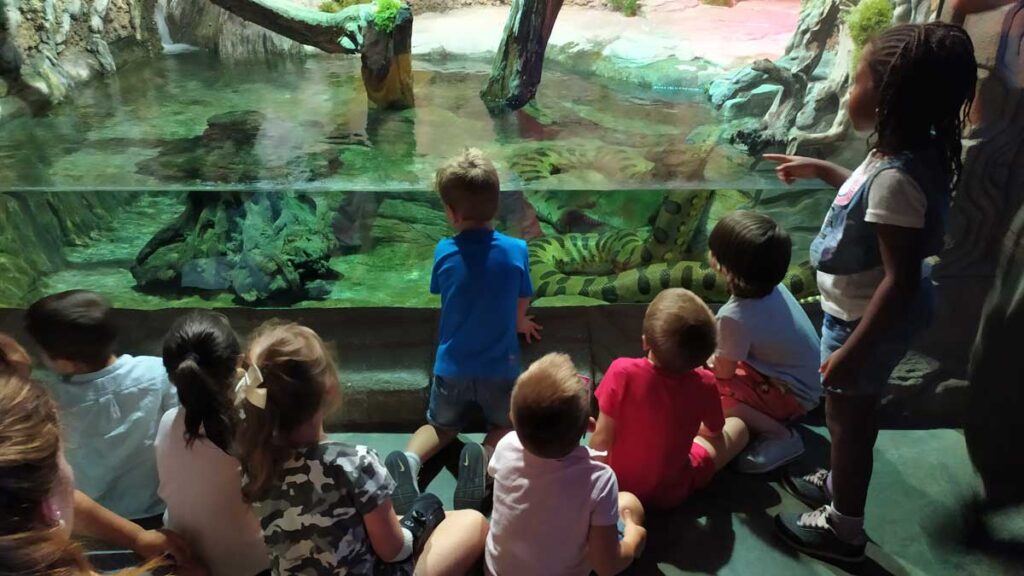 Más de 500 menores en riesgo de exclusión visitan el Acuario de Sevilla gracias a Andaluces Compartiendo