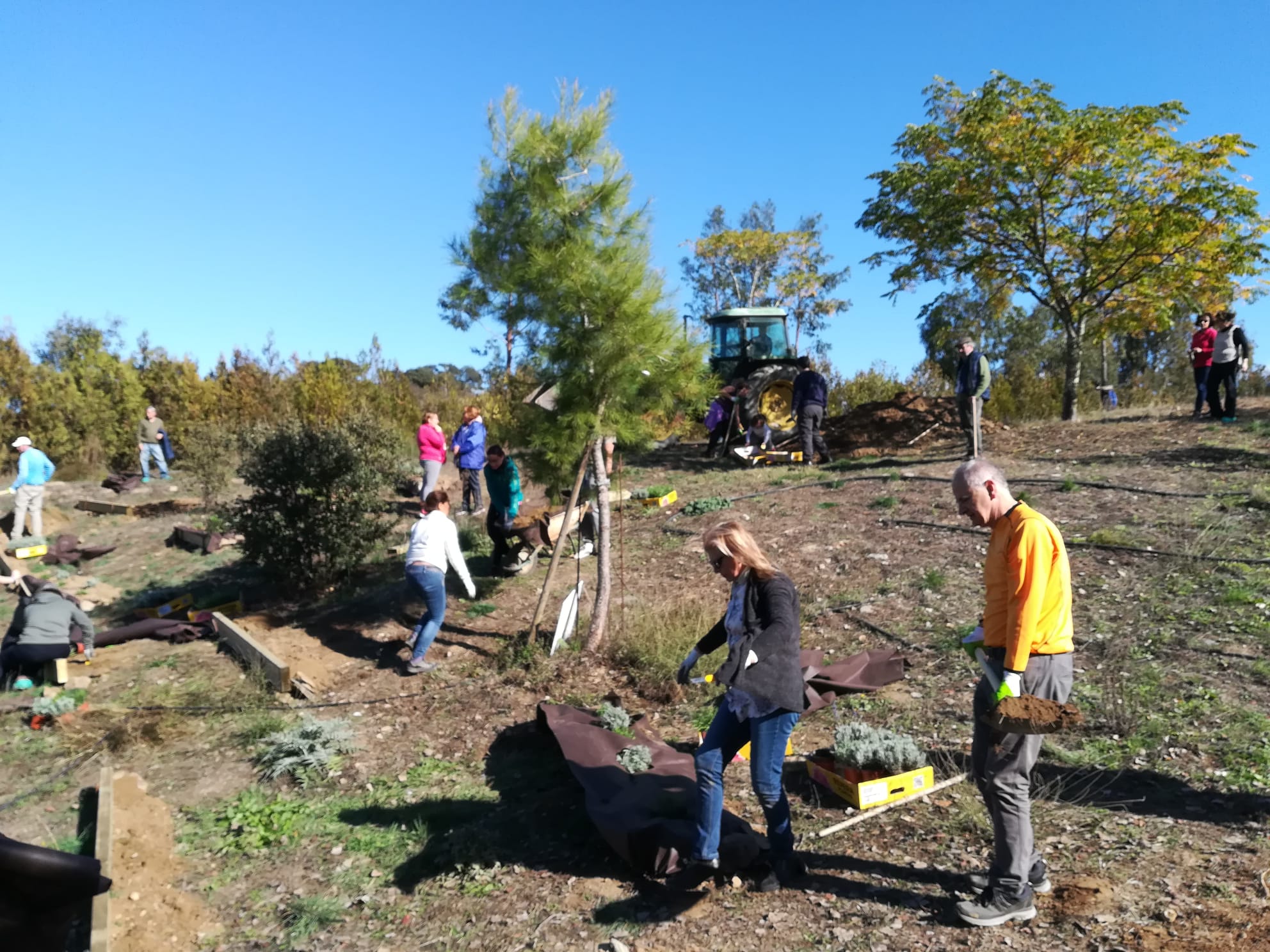 Voluntarios de la Fundación Cajasol en la finca La Contienda